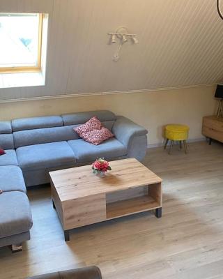 Grand logement 3 pièces