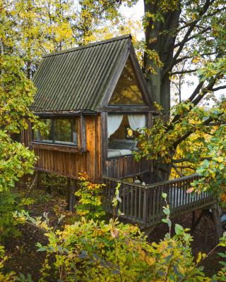 ENJOY COZY Tree House Hills Forest Gardens Beautiful Views Sauna Hotbath