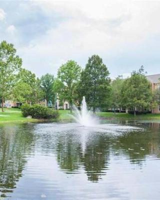 A cozy place near UF