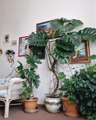 Tamari Guest House