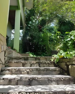 Samauma Floripa Aluguel de Quartos