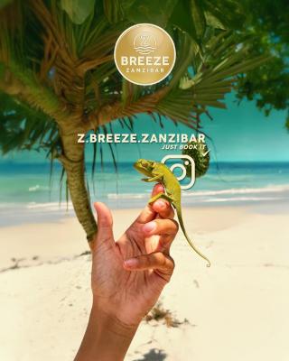 Z-Breeze Zanzibar