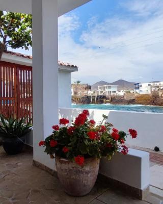 Ninfas 371