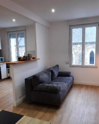 Appartement chaleureux 50m2 hypercentre