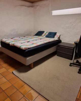 Big and cozy room in the middle of trondheim