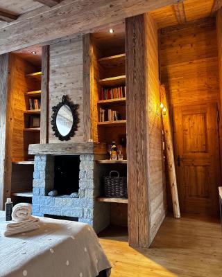 Cozy Suite Sils