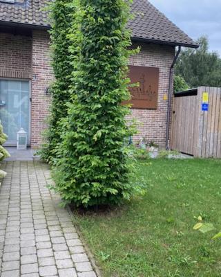 Vakantiewoning Het Wielje Maasland