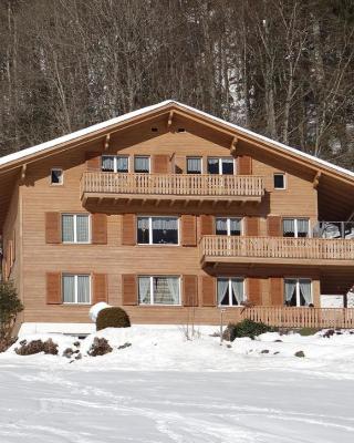 Apartment Berg Edelweiss by Interhome