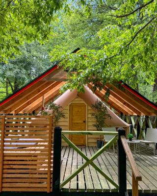 Casa del Árbol - Glamping