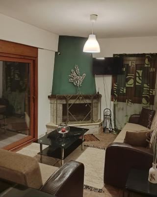 Thodoris Apartment's