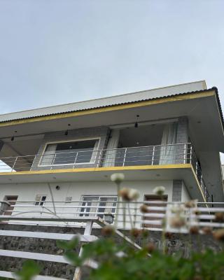 Kodai Scotberry Villa