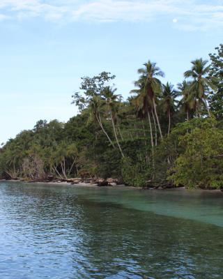 Scuba Republic Beach Bungalows