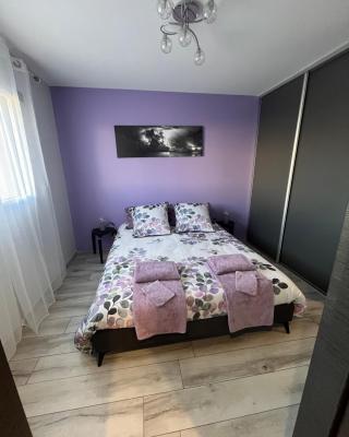CHAMBRE D'HOTES DANS MAISON PROCHE de COLMAR