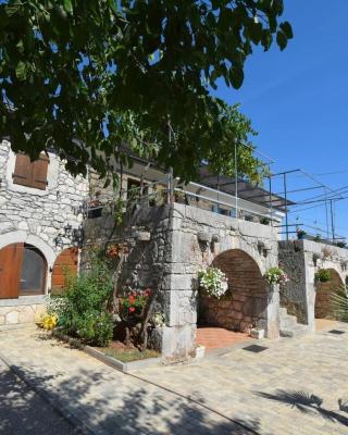 Apartments Insula Insule
