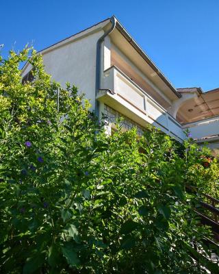 Apartments and Rooms Frane