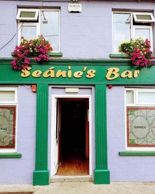 Seanie's guest house