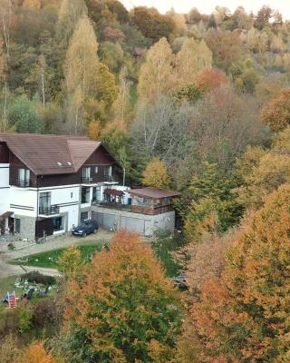 Pensiunea Glasul Pădurii