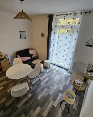 T2 cosy