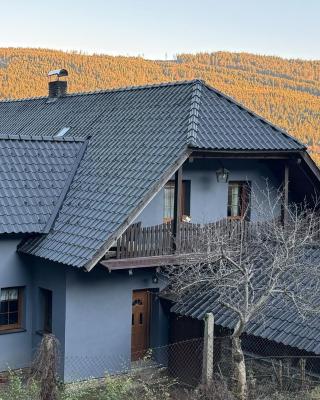 Apartmán U Vachtů