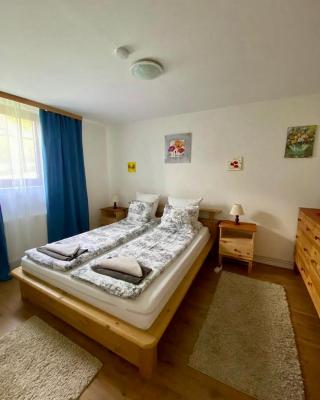 Tannenhof Apartment