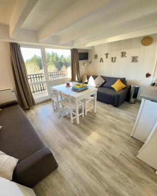 Location appartement Chamrousse 1650 - Superbe vue