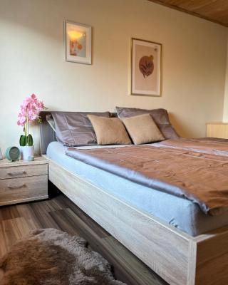 Gemütliche Wohnung/ cozy apartment Niklasdorf