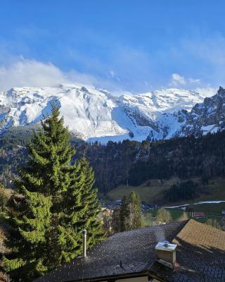 Luxury Escape - Titlis Panorama