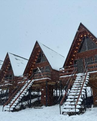 Tuyo cottages Gudauri