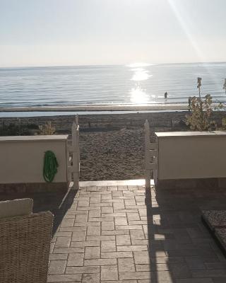 the suite on the beach