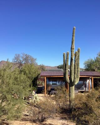 Vintage Airstream Lola Saguaro National Park