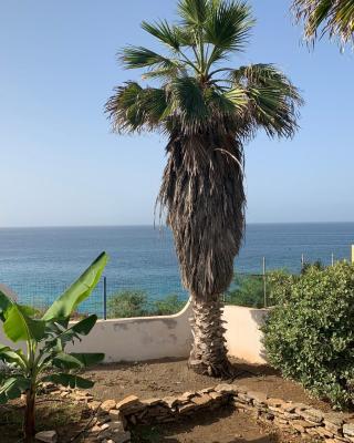 Tropikal House Facing Ocean