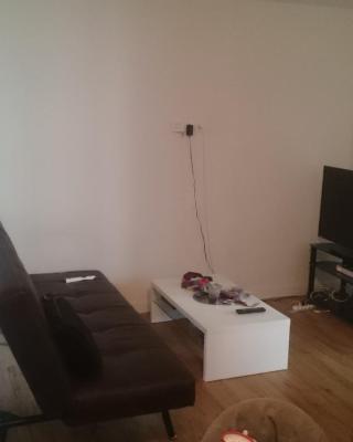 Chambre privée dans appartement en colocation à Grenoble A2C5