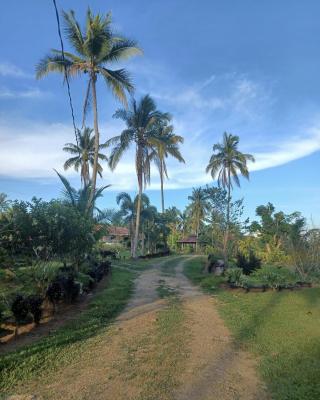 AsunEus Farm
