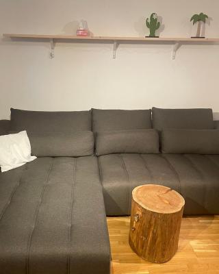 Traunsee Apartment 60 m2