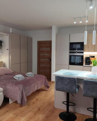 Útulný Apartmán Katka Rajecké Teplice