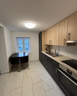 Apartment for Ski Lovers