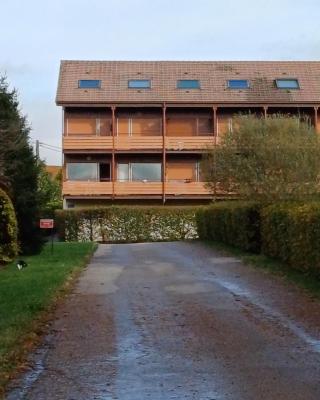 loue appartement mon petit bonheur à Xonrupt Longemer pour 1 à 2 personnes