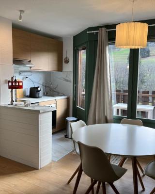Mignon petit Studio 25m2 avec balcon et Parking face départ pistes !