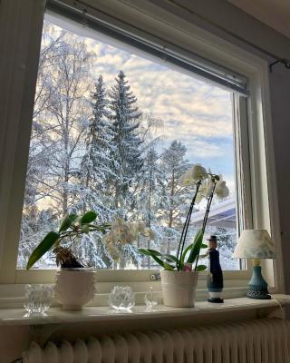 Cozy room surrounded by nature