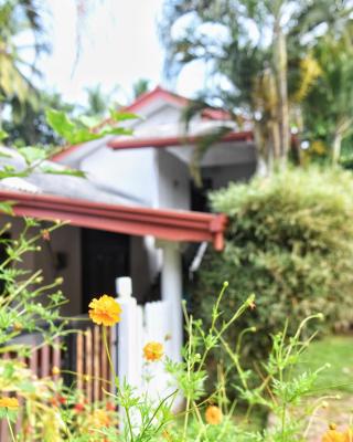 Bliss Inn