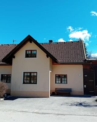 Haus in den Bergen! Österreichs Dorfperle