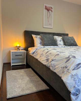 Apartman JV