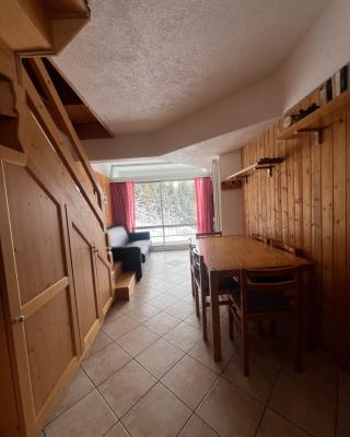 Appartamentino Marilleva 1400