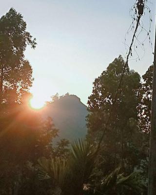 Littleadems View
