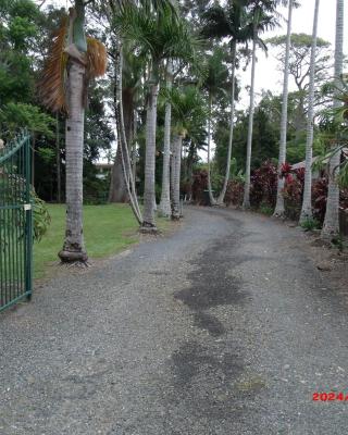 Emerald Tropical Palms B & B