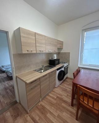 Apartmán v Karlových Varech pro 4 osoby