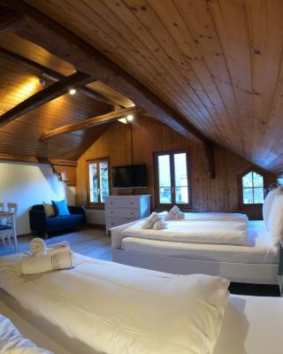 Panorama Apartment