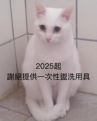 自然海naturalhigh