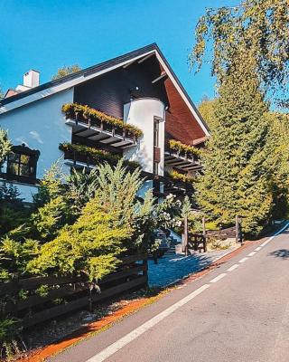 Silvia Chalet Poiana Brasov