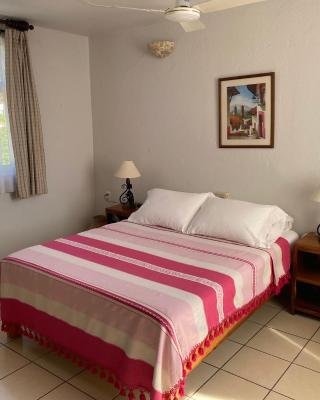 Hotel Zandoyo Bed & Breakfast